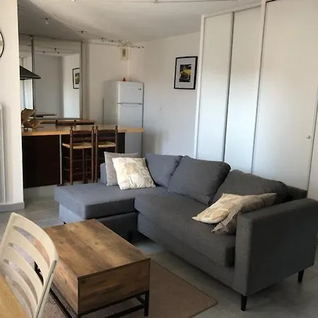 Proche Stade Toulousain - Blagnac - Parking Appartement Toulouse